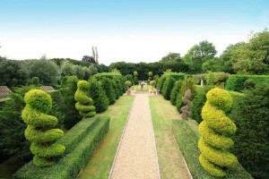 Situated in the Garden of Ireland, Season Park Farm in Newtownmountkennedy, Co. Wicklow, we have English Yew trees Taxus baccata for sale.