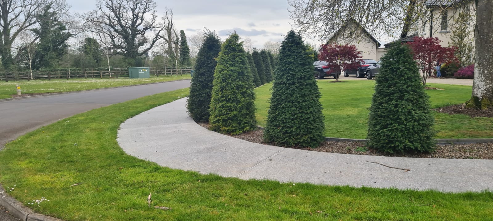 Formal Boundary Planting - Taxus baccata planted as a structured evergreen boundary for gardens and estates.